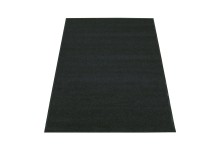 Eazycare Schmutzfangmatte - für Innen  120 x 180 cm  schwarz  waschbar