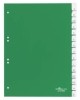 Register  Hartfolie  blanko  grün  DIN A4  215/230 x 297 mm  15 Blatt